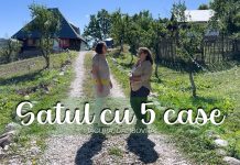 Satul cu 5 case. Și-a vândut afacerea din București ca să ridice un mini sat turistic în Dâmbovița